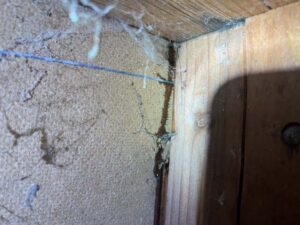 Las Vegas Stucco wall leak inspection