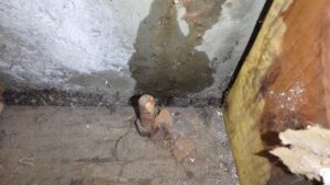 Las Vegas stucco rain leak test